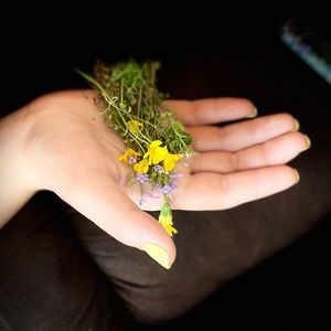 Meet your Posher, Jasmine